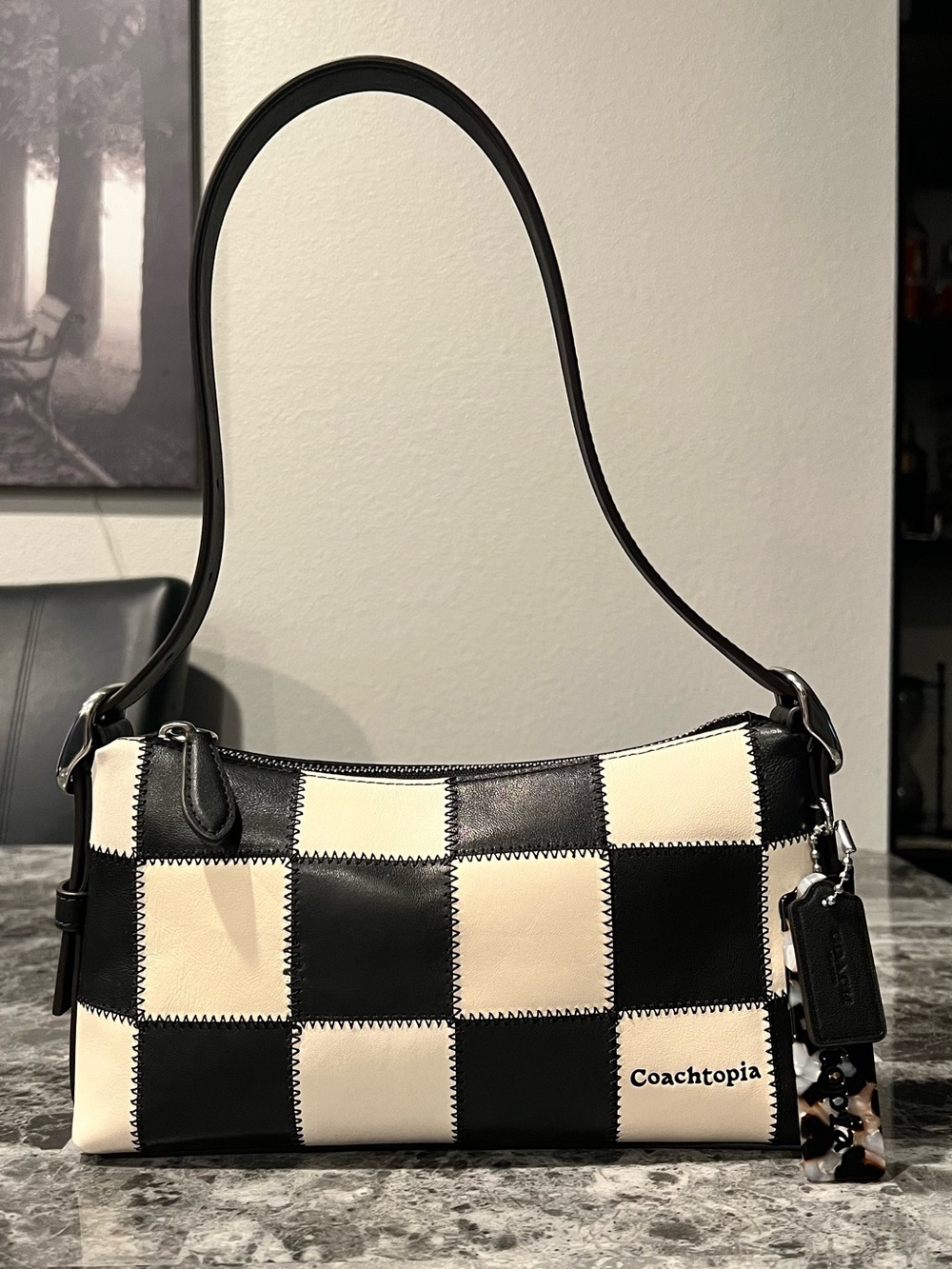 NWOT Coach Alter Ego Small - Picture 3 of 6